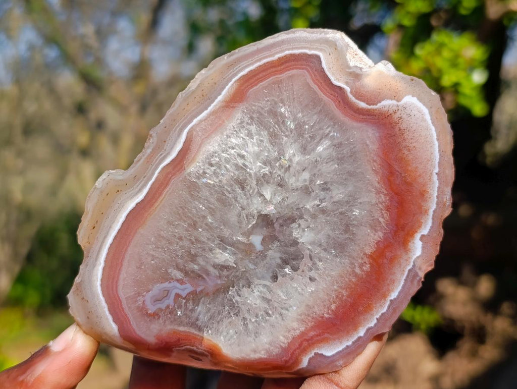 Polished One Side Red Shashe River Agate Slices x 6 From Shashe River, Zimbabwe - Toprock Gemstones and Minerals 