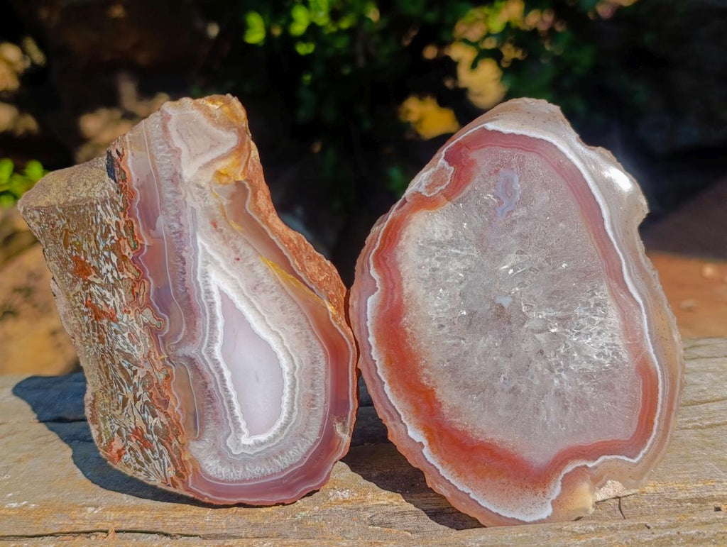 Polished One Side Red Shashe River Agate Slices x 6 From Shashe River, Zimbabwe - Toprock Gemstones and Minerals 