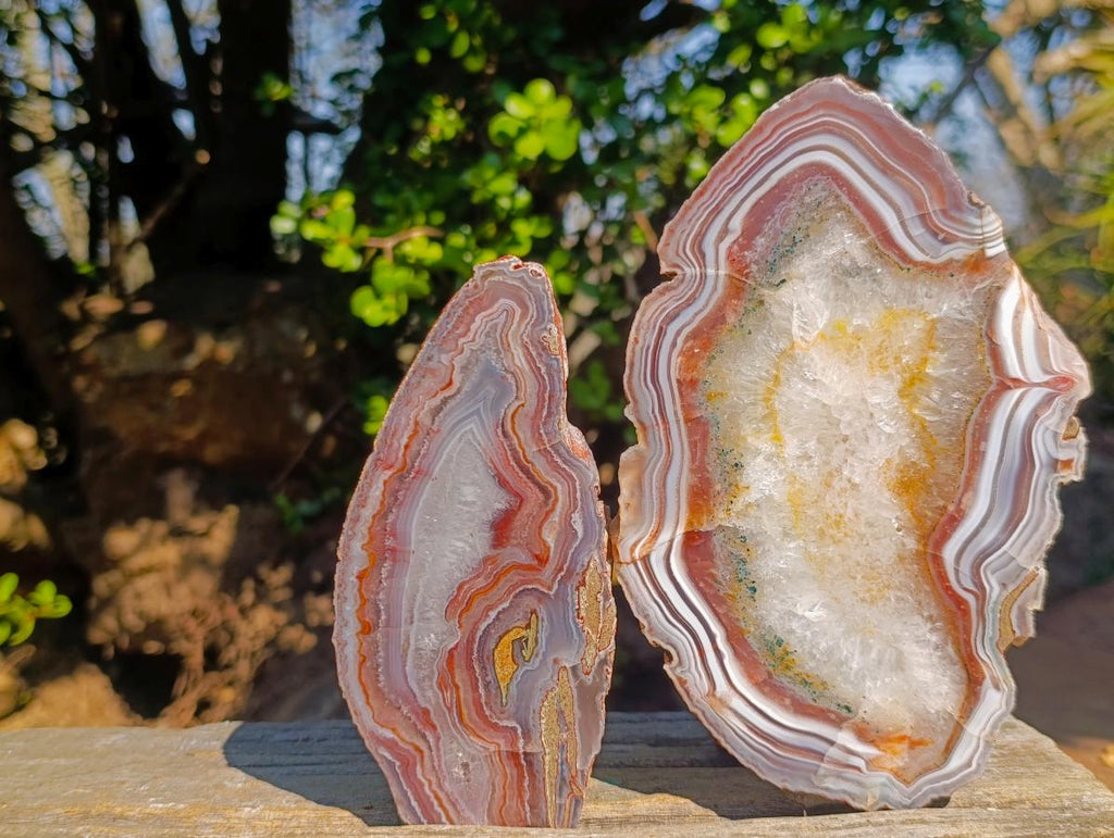 Polished One Side Red Shashe River Agate Slices x 6 From Shashe River, Zimbabwe - Toprock Gemstones and Minerals 