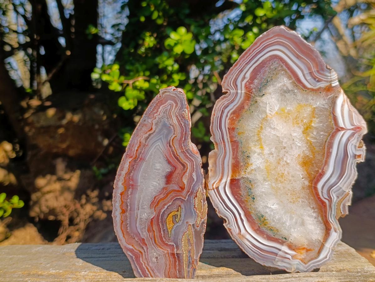 Polished One Side Red Shashe River Agate Slices x 6 From Shashe River, Zimbabwe - Toprock Gemstones and Minerals 