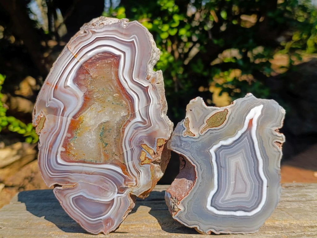 Polished One Side Red Shashe River Agate Slices x 6 From Shashe River, Zimbabwe - Toprock Gemstones and Minerals 
