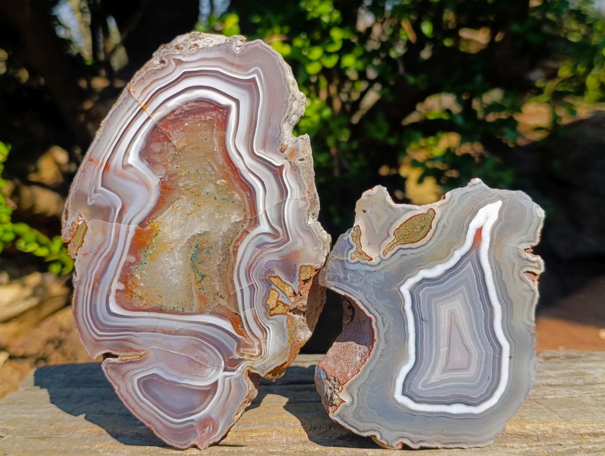 Polished One Side Red Shashe River Agate Slices x 6 From Shashe River, Zimbabwe - Toprock Gemstones and Minerals 