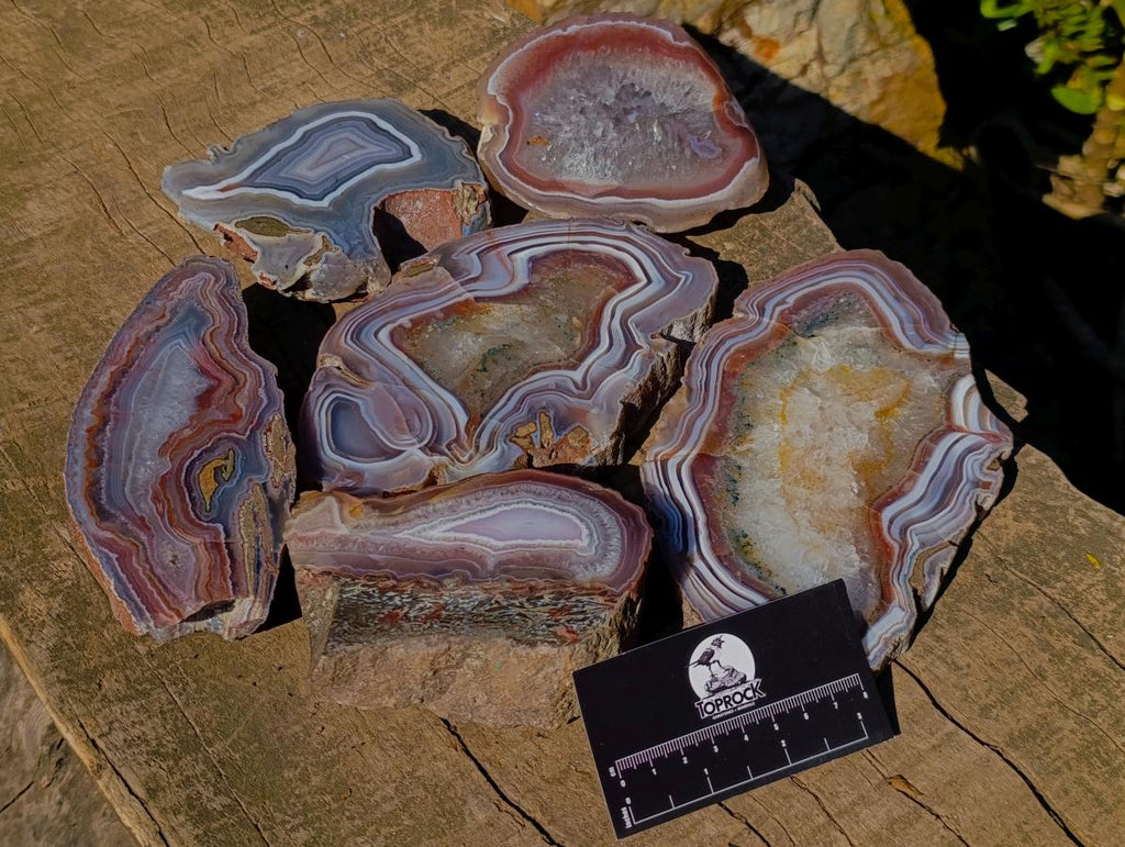 Polished One Side Red Shashe River Agate Slices x 6 From Shashe River, Zimbabwe - Toprock Gemstones and Minerals 