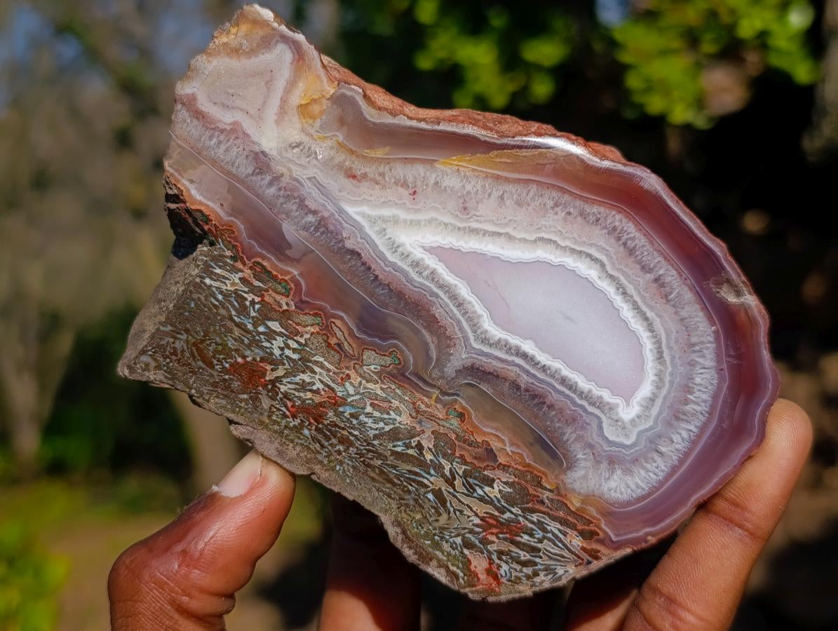Polished One Side Red Shashe River Agate Slices x 6 From Shashe River, Zimbabwe - Toprock Gemstones and Minerals 