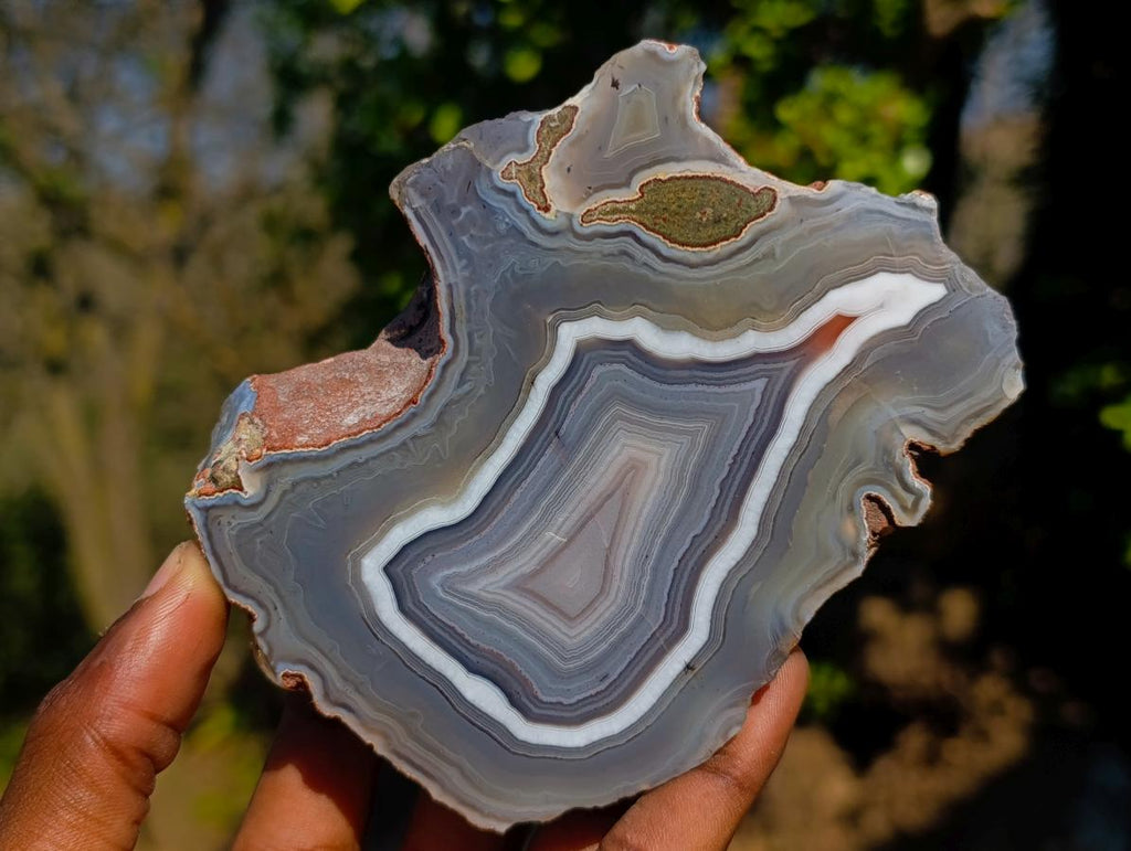 Polished One Side Red Shashe River Agate Slices x 6 From Shashe River, Zimbabwe - Toprock Gemstones and Minerals 