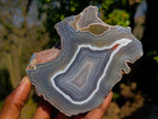 Polished One Side Red Shashe River Agate Slices x 6 From Shashe River, Zimbabwe - Toprock Gemstones and Minerals 