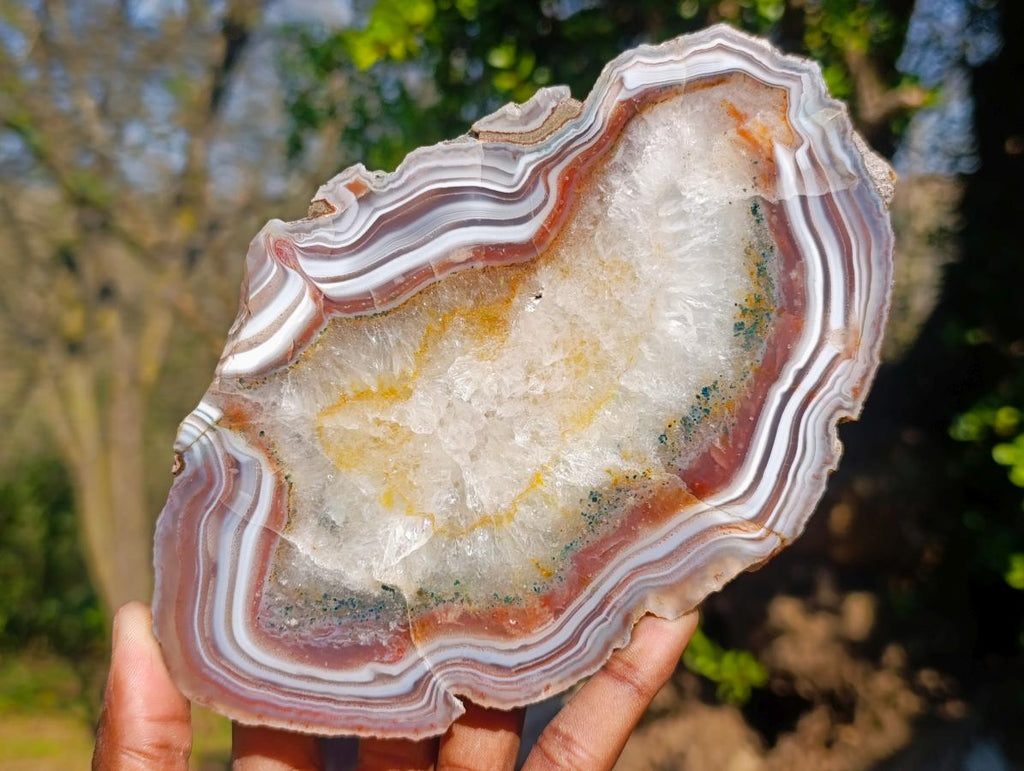 Polished One Side Red Shashe River Agate Slices x 6 From Shashe River, Zimbabwe - Toprock Gemstones and Minerals 