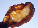 Polished One Side Red Shashe River Agate Slices x 6 From Shashe River, Zimbabwe - Toprock Gemstones and Minerals 