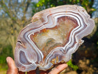Polished One Side Red Shashe River Agate Slices x 6 From Shashe River, Zimbabwe - Toprock Gemstones and Minerals 