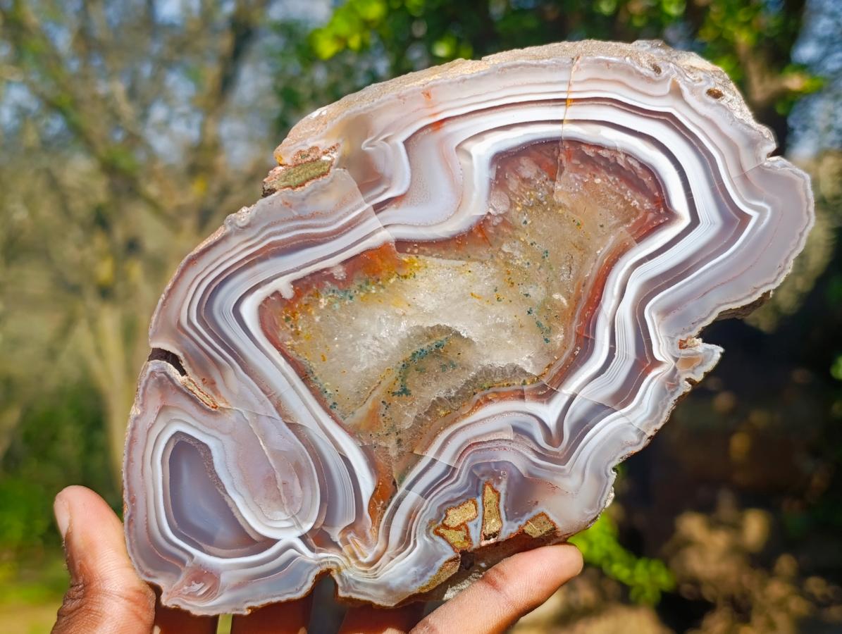 Polished One Side Red Shashe River Agate Slices x 6 From Shashe River, Zimbabwe - Toprock Gemstones and Minerals 