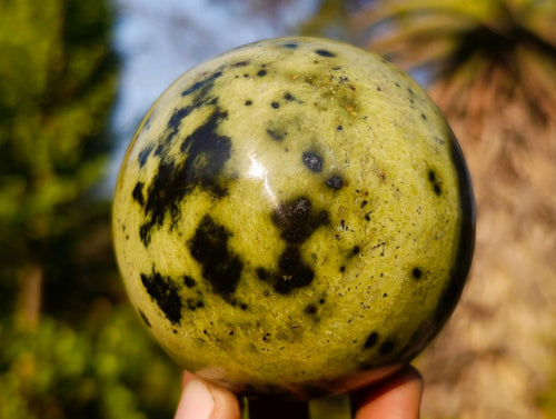 Polished Leopard Stone Spheres x 3 From Zimbabwe - Toprock Gemstones and Minerals 