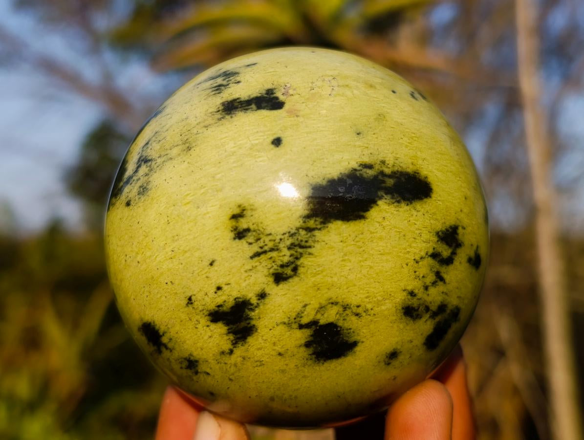 Polished Leopard Stone Spheres x 3 From Zimbabwe - Toprock Gemstones and Minerals 