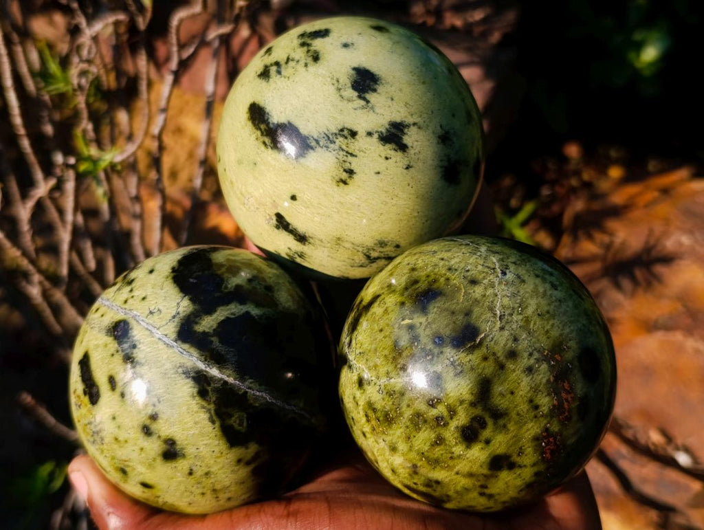 Polished Leopard Stone Spheres x 3 From Zimbabwe - Toprock Gemstones and Minerals 