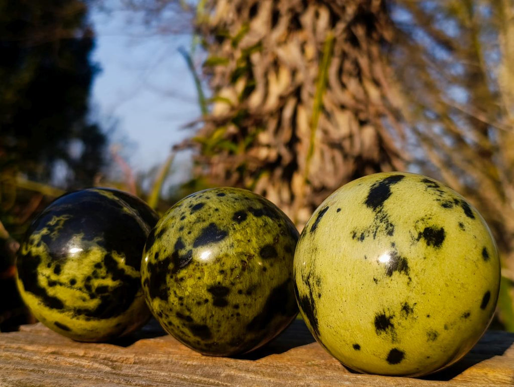 Polished Leopard Stone Spheres x 3 From Zimbabwe - Toprock Gemstones and Minerals 