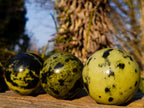 Polished Leopard Stone Spheres x 3 From Zimbabwe - Toprock Gemstones and Minerals 