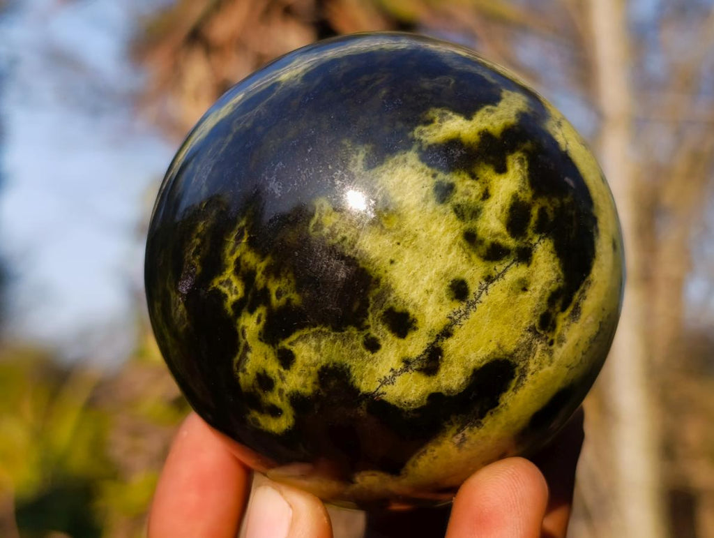 Polished Leopard Stone Spheres x 3 From Zimbabwe - Toprock Gemstones and Minerals 