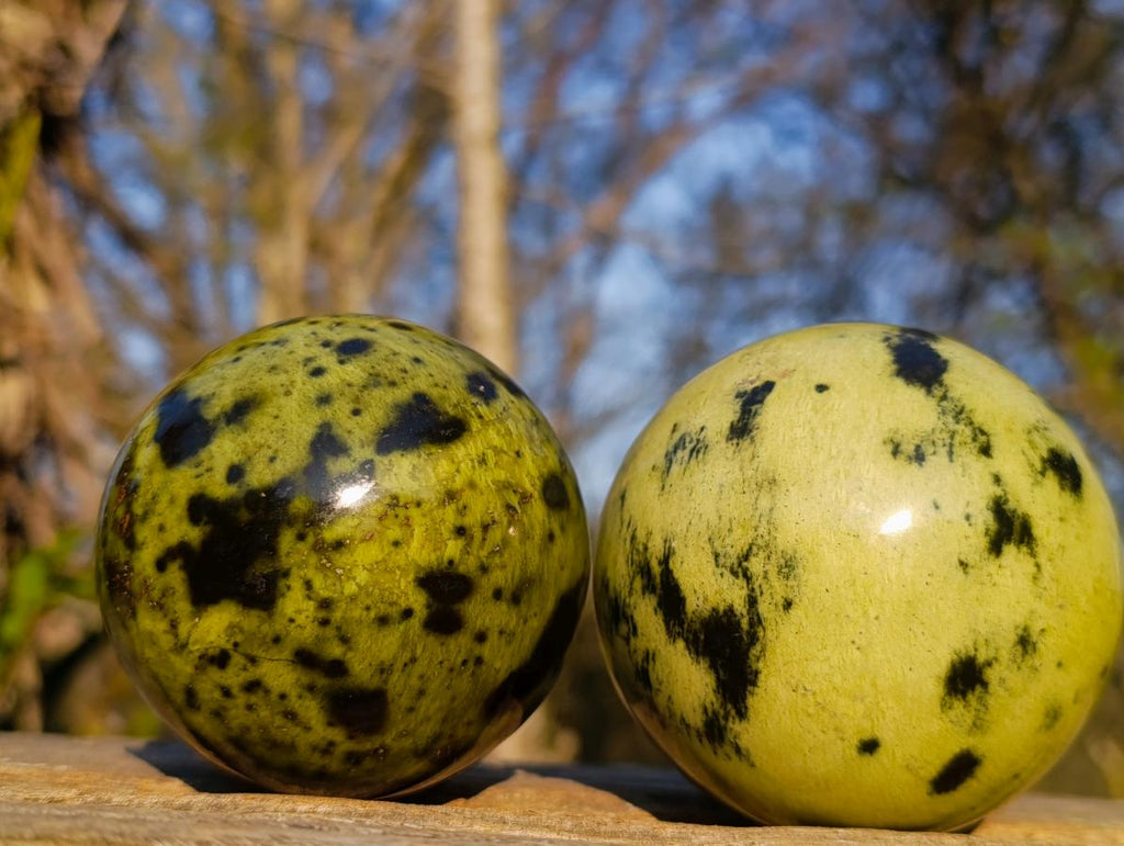 Polished Leopard Stone Spheres x 3 From Zimbabwe - Toprock Gemstones and Minerals 