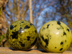 Polished Leopard Stone Spheres x 3 From Zimbabwe - Toprock Gemstones and Minerals 