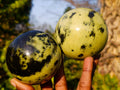 Polished Leopard Stone Spheres x 3 From Zimbabwe - Toprock Gemstones and Minerals 