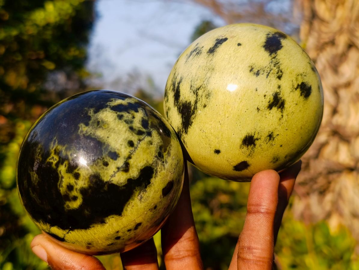 Polished Leopard Stone Spheres x 3 From Zimbabwe - Toprock Gemstones and Minerals 
