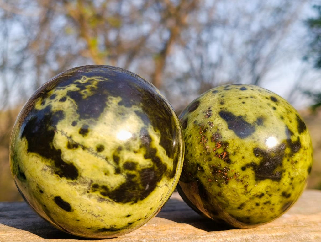 Polished Leopard Stone Spheres x 3 From Zimbabwe - Toprock Gemstones and Minerals 