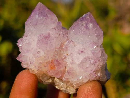 Natural Spirit Amethyst Clusters x 12 From Boekenhouthoek, South Africa - Toprock Gemstones and Minerals 