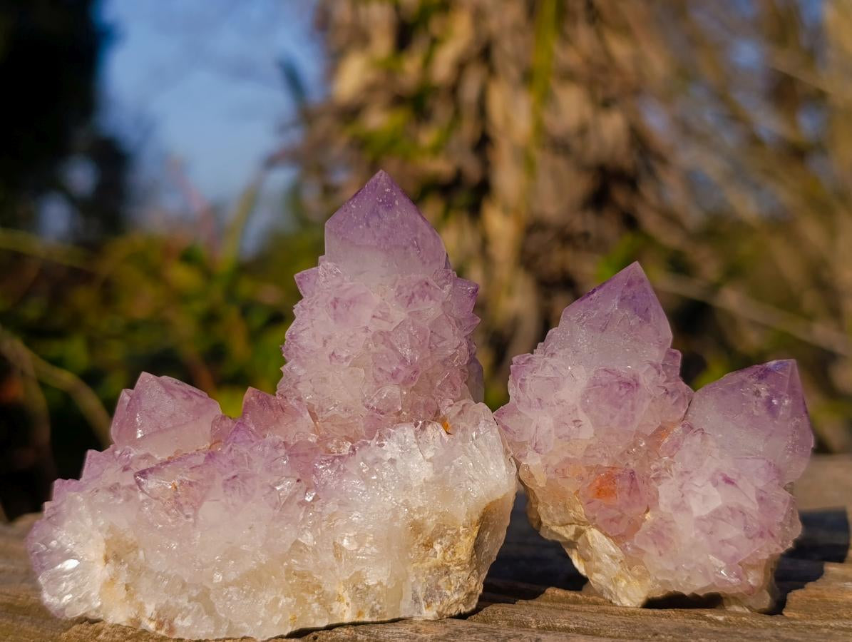 Natural Spirit Amethyst Clusters x 12 From Boekenhouthoek, South Africa - Toprock Gemstones and Minerals 
