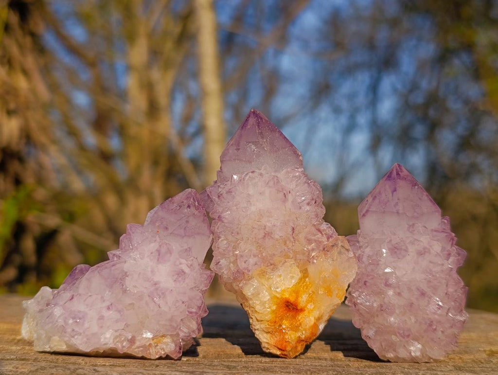 Natural Spirit Amethyst Clusters x 12 From Boekenhouthoek, South Africa - Toprock Gemstones and Minerals 