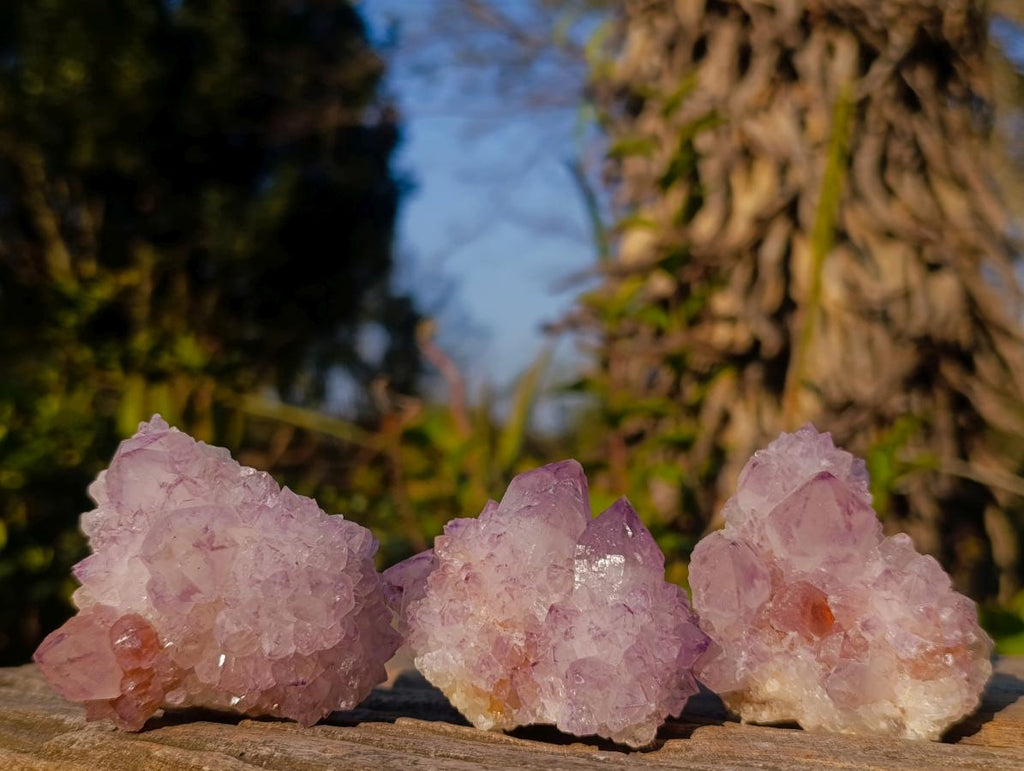 Natural Spirit Amethyst Clusters x 12 From Boekenhouthoek, South Africa - Toprock Gemstones and Minerals 