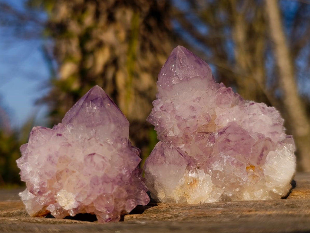 Natural Spirit Amethyst Clusters x 12 From Boekenhouthoek, South Africa - Toprock Gemstones and Minerals 