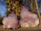 Natural Spirit Amethyst Clusters x 12 From Boekenhouthoek, South Africa - Toprock Gemstones and Minerals 