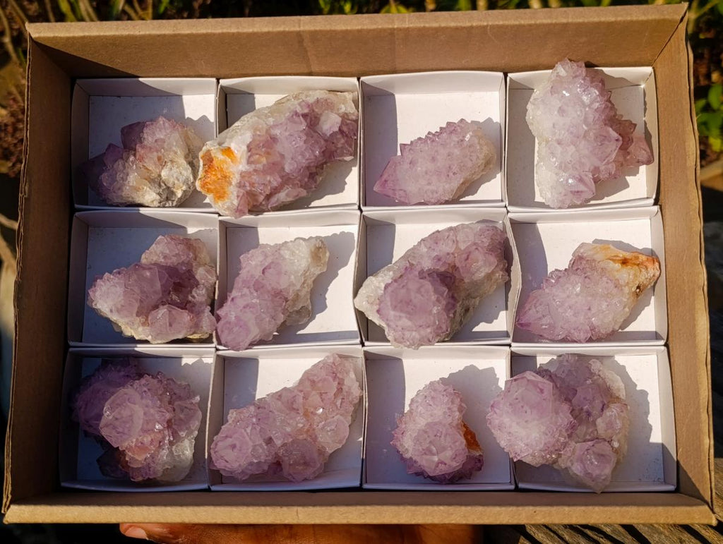 Natural Spirit Amethyst Clusters x 12 From Boekenhouthoek, South Africa - Toprock Gemstones and Minerals 
