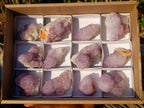 Natural Spirit Amethyst Clusters x 12 From Boekenhouthoek, South Africa - Toprock Gemstones and Minerals 