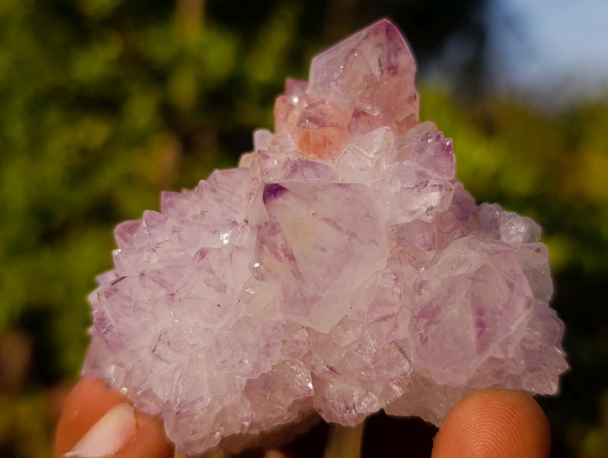 Natural Spirit Amethyst Clusters x 12 From Boekenhouthoek, South Africa - Toprock Gemstones and Minerals 