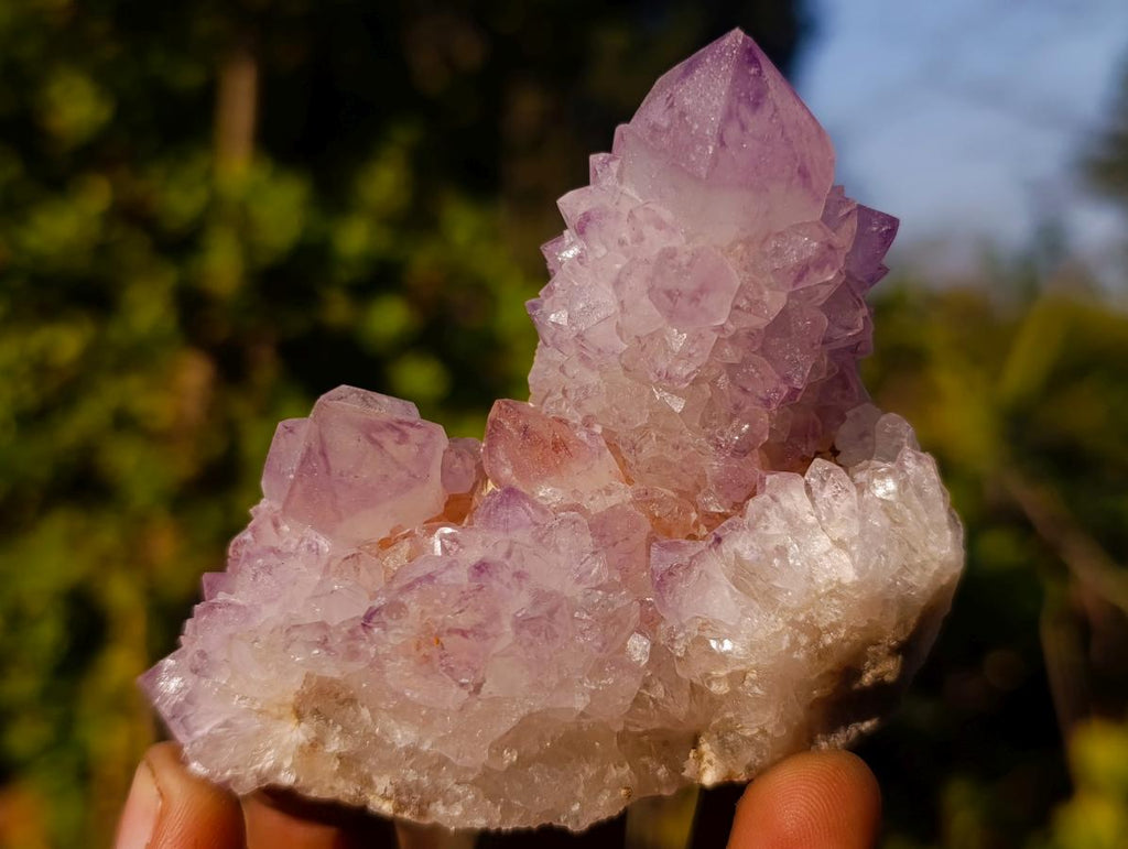 Natural Spirit Amethyst Clusters x 12 From Boekenhouthoek, South Africa - Toprock Gemstones and Minerals 