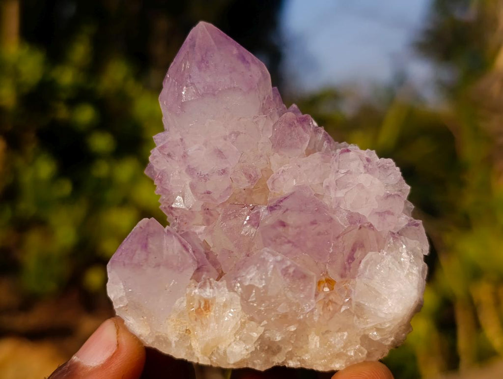 Natural Spirit Amethyst Clusters x 12 From Boekenhouthoek, South Africa - Toprock Gemstones and Minerals 