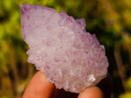 Natural Spirit Amethyst Clusters x 12 From Boekenhouthoek, South Africa - Toprock Gemstones and Minerals 