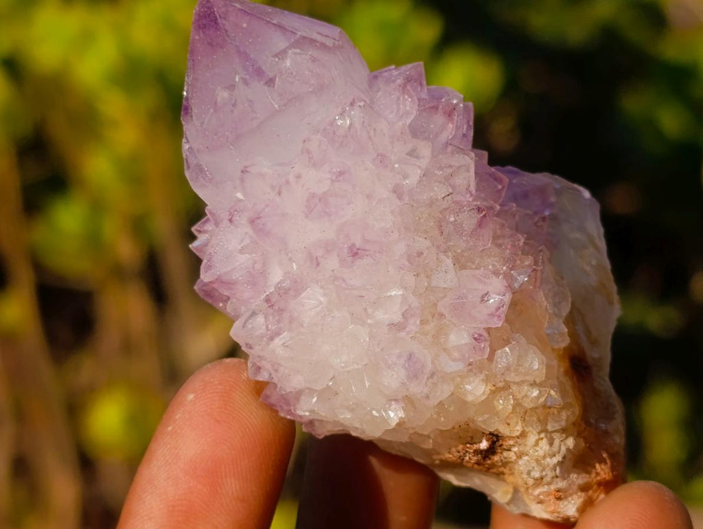 Natural Spirit Amethyst Clusters x 12 From Boekenhouthoek, South Africa - Toprock Gemstones and Minerals 