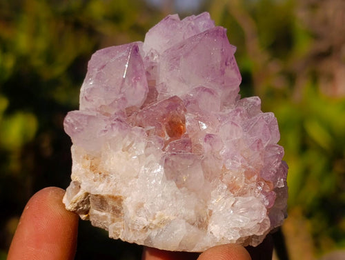 Natural Spirit Amethyst Clusters x 12 From Boekenhouthoek, South Africa - Toprock Gemstones and Minerals 