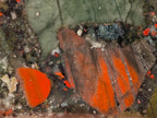 Polished Bloodstone Display Crystals x 3 From Swaziland - Toprock Gemstones and Minerals 