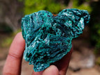 Natural Silky Malachite Specimens x 12 From Kasompe, Congo - Toprock Gemstones and Minerals 