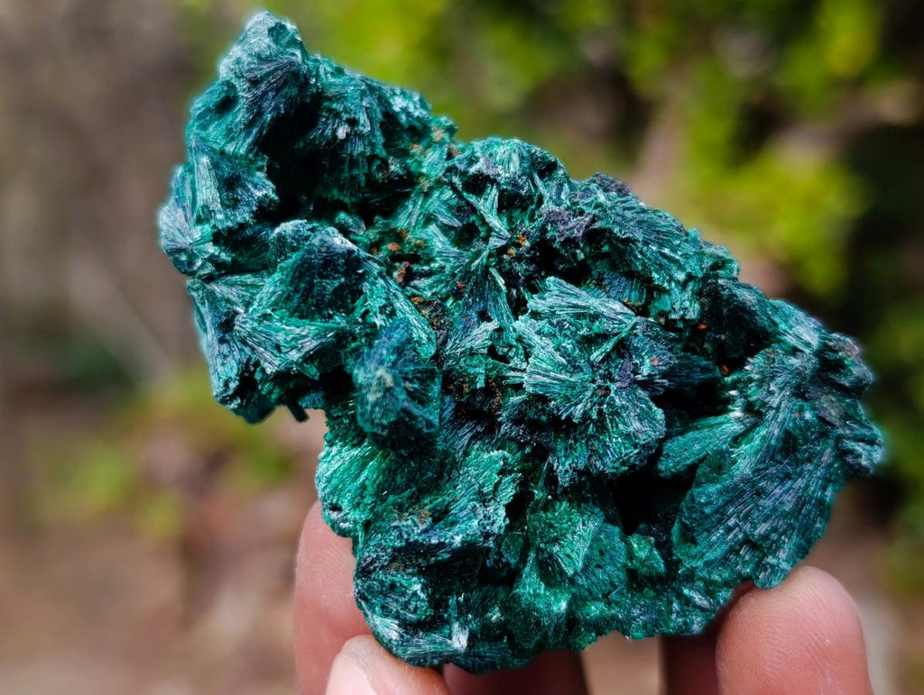 Natural Silky Malachite Specimens x 12 From Kasompe, Congo - Toprock Gemstones and Minerals 