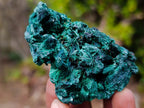 Natural Silky Malachite Specimens x 12 From Kasompe, Congo - Toprock Gemstones and Minerals 