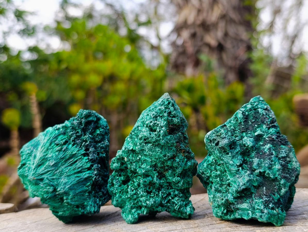 Natural Silky Malachite Specimens x 12 From Kasompe, Congo - Toprock Gemstones and Minerals 