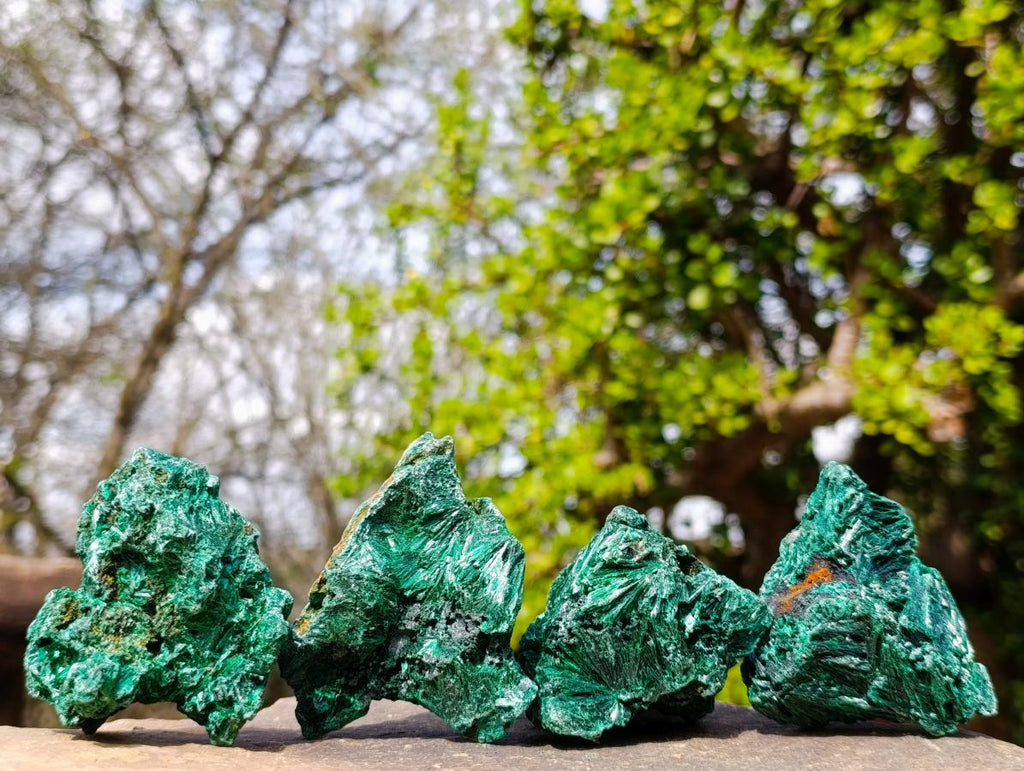 Natural Silky Malachite Specimens x 12 From Kasompe, Congo - Toprock Gemstones and Minerals 