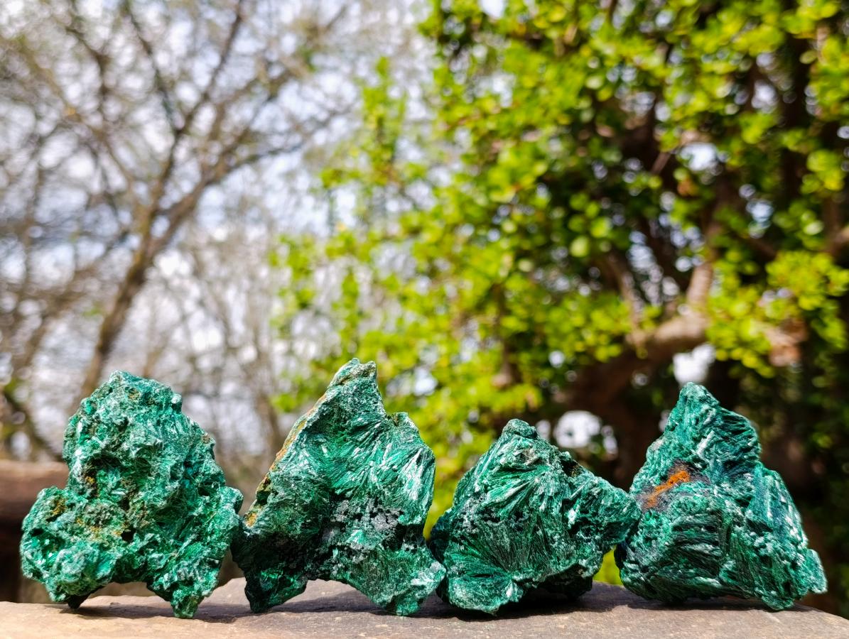 Natural Silky Malachite Specimens x 12 From Kasompe, Congo - Toprock Gemstones and Minerals 