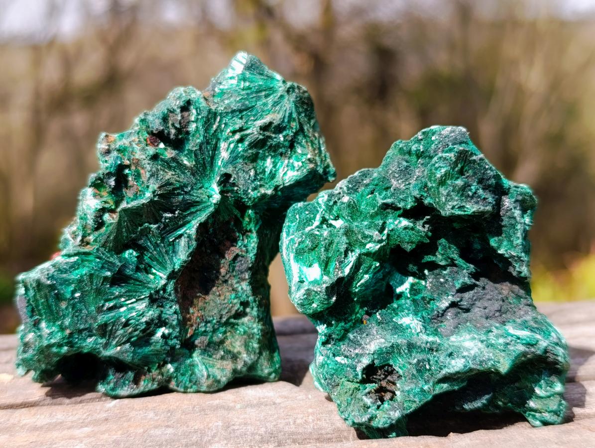 Natural Silky Malachite Specimens x 12 From Kasompe, Congo - Toprock Gemstones and Minerals 