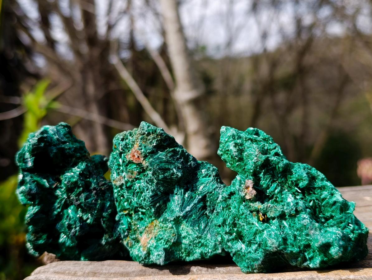Natural Silky Malachite Specimens x 12 From Kasompe, Congo - Toprock Gemstones and Minerals 