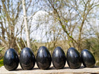Polished Black Basalt Eggs x 6 From Madagascar - Toprock Gemstones and Minerals 