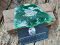 Polished One Side Mtorolite Chrysoprase Slices x 12 From Mutorashanga, Zimbabwe - Toprock Gemstones and Minerals 